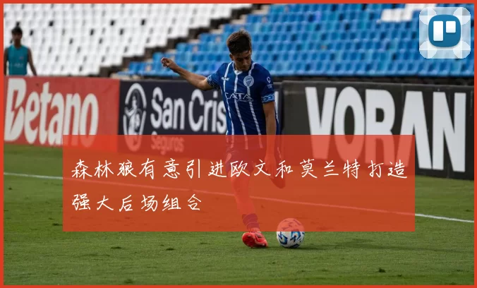 森林狼有意引进欧文和莫兰特打造强大后场组合