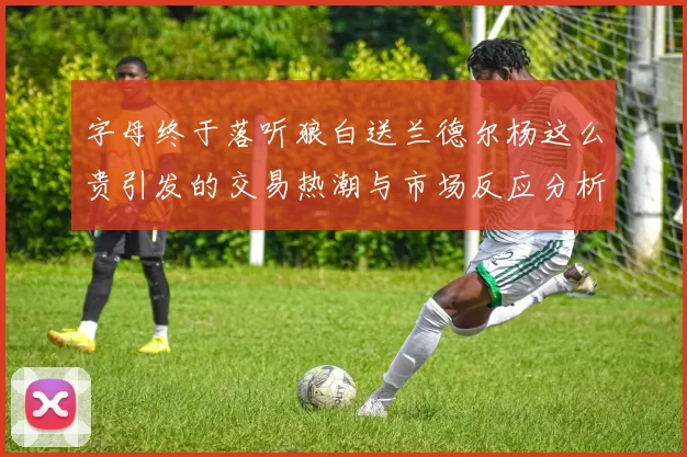 字母终于落听狼白送兰德尔杨这么贵引发的交易热潮与市场反应分析