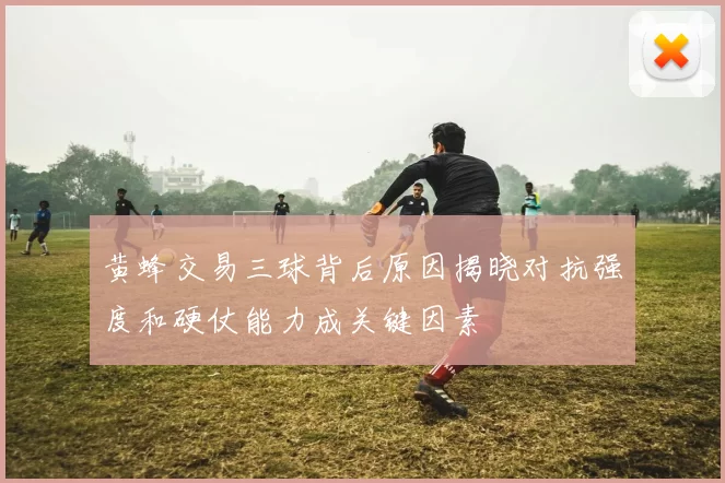 黄蜂交易三球背后原因揭晓对抗强度和硬仗能力成关键因素